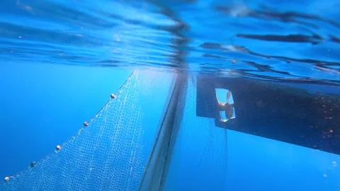 Fishing net rises underwater toward boat hull - Fishing Process and Sea Economy Stock Footage 339976563