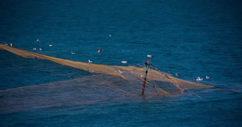 Fishing net into the sea Stock Footage 56562108