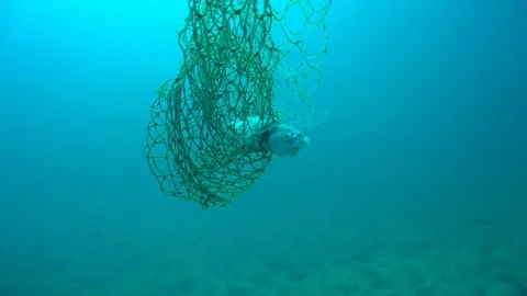 Fishing net in the sea Stock Footage 94653687