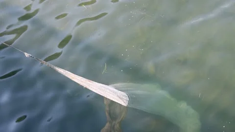 Fishing net in the sea Stock Footage 136101599