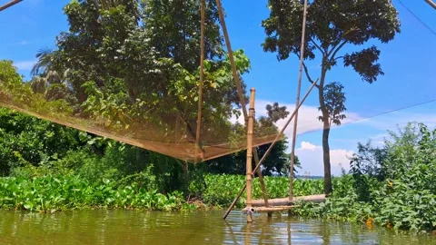 Fishing net in a serene lake surrounded by lush greenery and trees Vídeo Stock 331806486