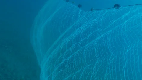 Fishing Net Setup Under the Sea Stock Footage 144669838