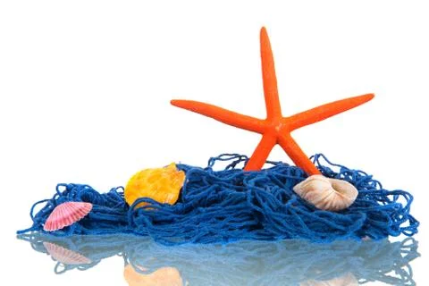 Fishing net with shells Stock Photos