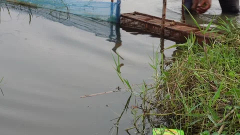 Fishing net structure on pond edge 스톡 동영상 329383533