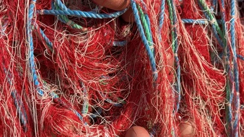 Fishing net with tangled red and blue ropes, close-up texture background Stock Footage 330493269