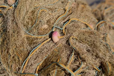 Fishing net texture Stock Photos