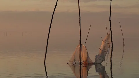 Fishing net in water Stock Footage 87548832