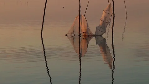 Fishing net in water Stock Footage 87548842