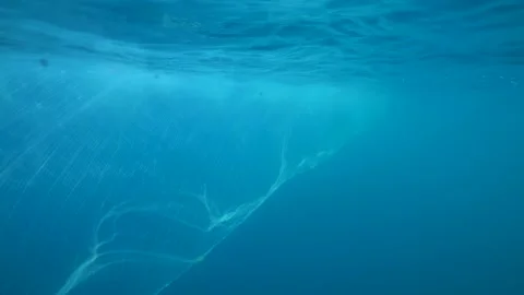 Fishing Net In the Water Stock Footage 144656396