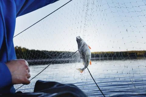 Fishing nets from a boat. Stock Photos
