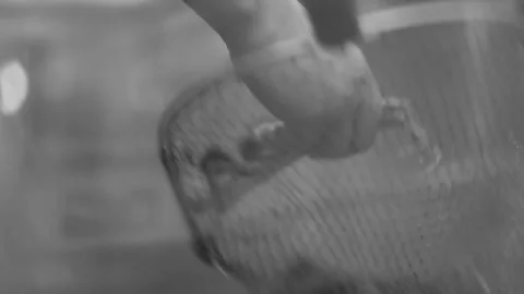 Fishing nets for crabs Stock Footage 235131706