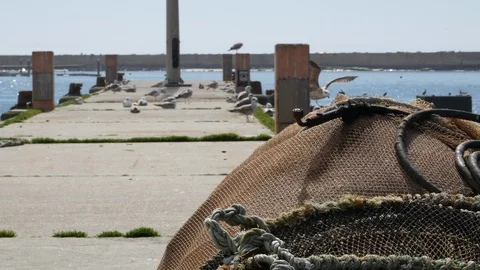 Fishing nets drying on the dock in the harbor in Portugal Stock Footage 104417922