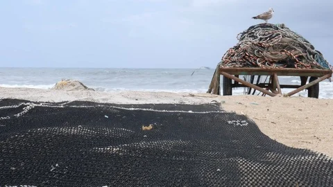 Fishing nets drying on the dock in the harbor in Portugal, with seagulls in Stock Footage 107197764
