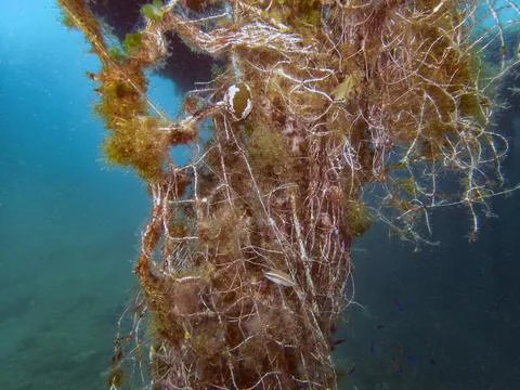 Fishing nets entangled on a wreck Фото