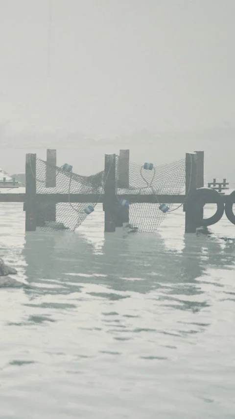 Fishing nets float on calm water in a wetland at sunset near a dock Stock Footage 335099108