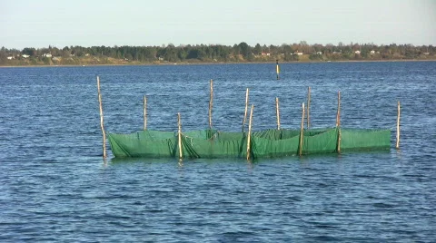 Fishing nets Video stock 368615