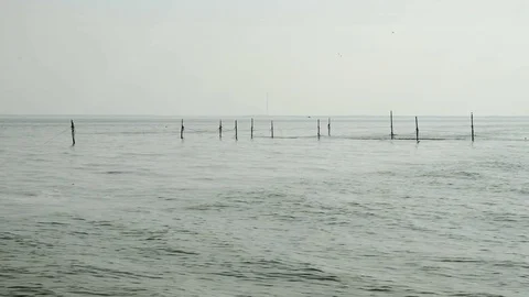 Fishing nets Stock Footage 75903118