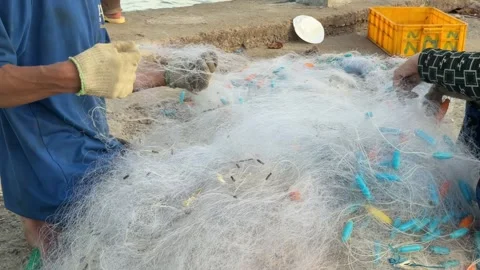 Fishing nets lie spread wide as workers smooth and inspect them by hand Stock Footage 325717332