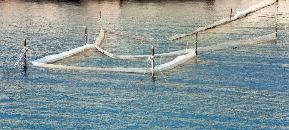 Fishing nets Stock Photos