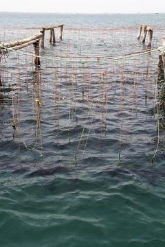 Fishing nets Stock Photos