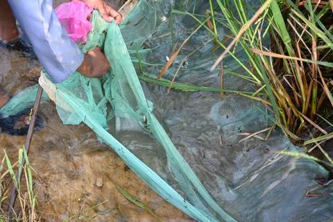 Fishing with nets. Stock Photos