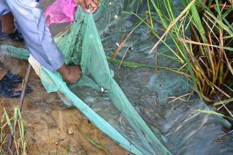 Fishing with nets. Stock Photos