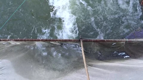 Fishing nets in the rapid current of a river. Video stock 320070351