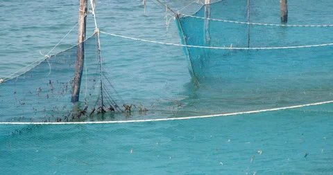 Fishing nets Water-level view on river chinese fishing net Stock Footage 285029873