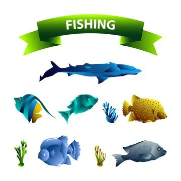 Fishing Objects Set Illustration