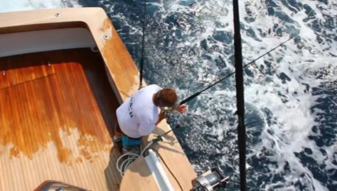 Fishing on the ocean Stock Footage 8420991