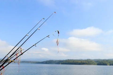 Fishing Stock Photos