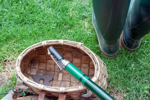 Fishing Stock Photos