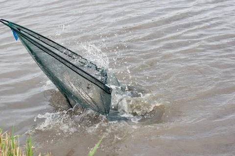 Fishing. Stock Photos