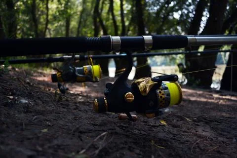 Fishing Stock Photos