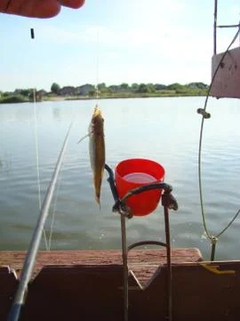 Fishing 스톡 사진