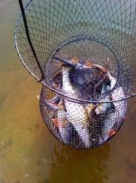 Fishing 스톡 사진