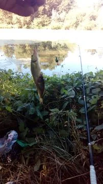 Fishing Stock Photos