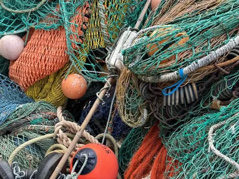 Fishing Stock Photos