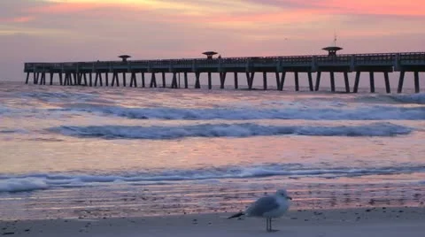 Fishing Pier Stock Footage 10916771