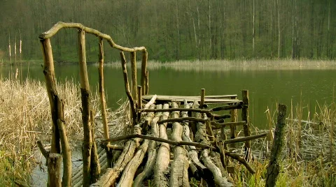 Fishing pier in the forest Video stock 398396