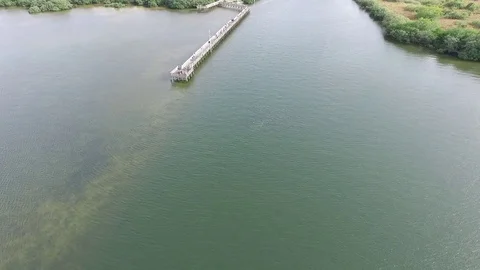 Fishing Pier with School of Fish Stock Footage 75766110