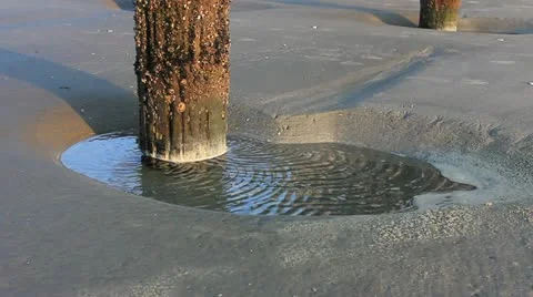 Fishing pier support close up Stock Footage 11145879
