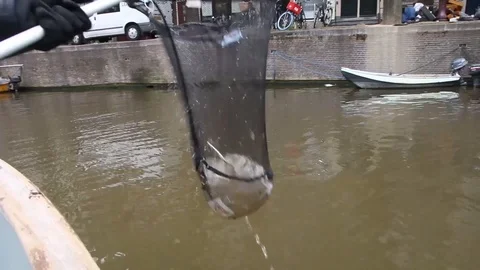 Fishing for plastic in canal 動画素材 108501417