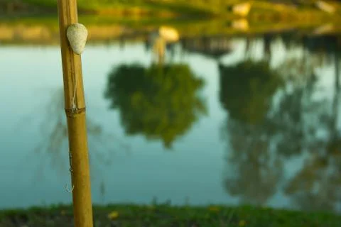 Fishing pole with float and hook Stock Photos