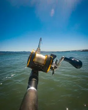 Fishing poll Stock Photos