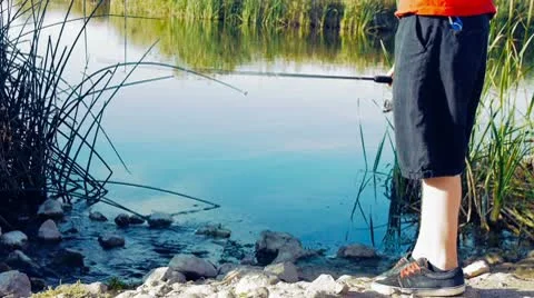 Fishing pond 库存影片 8921374