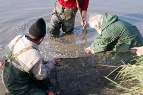 Fishing in the pond. Stock Photos