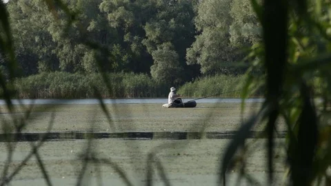 Fishing on a pond in a summer day Stock Footage 76003041