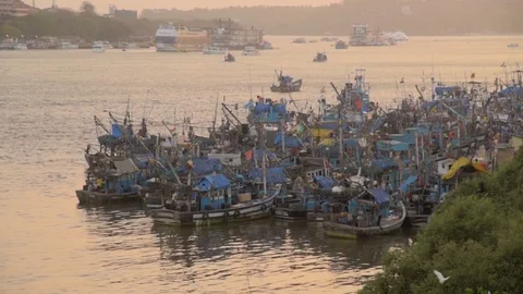Fishing port  Video stock 76594785