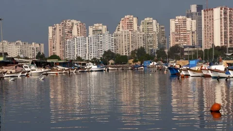 Fishing Port Stock Footage 104123439